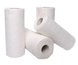 Kitchen Paper Towel