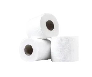 Toilet Tissue Rolls